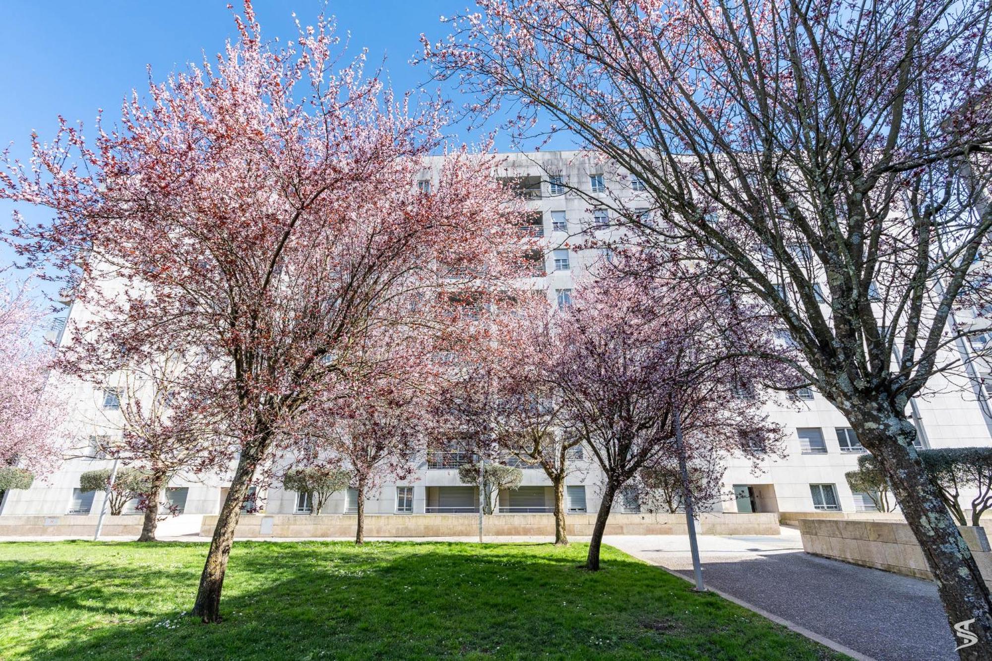 Cedofeita Sunny Apartment - Balcony & Parking Πόρτο Εξωτερικό φωτογραφία